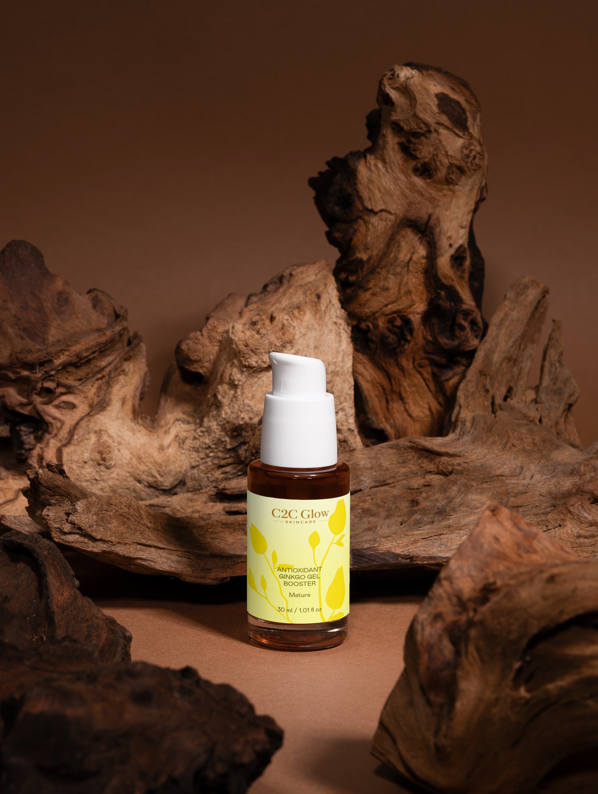 Antioxidant Ginkgo Gel Booster